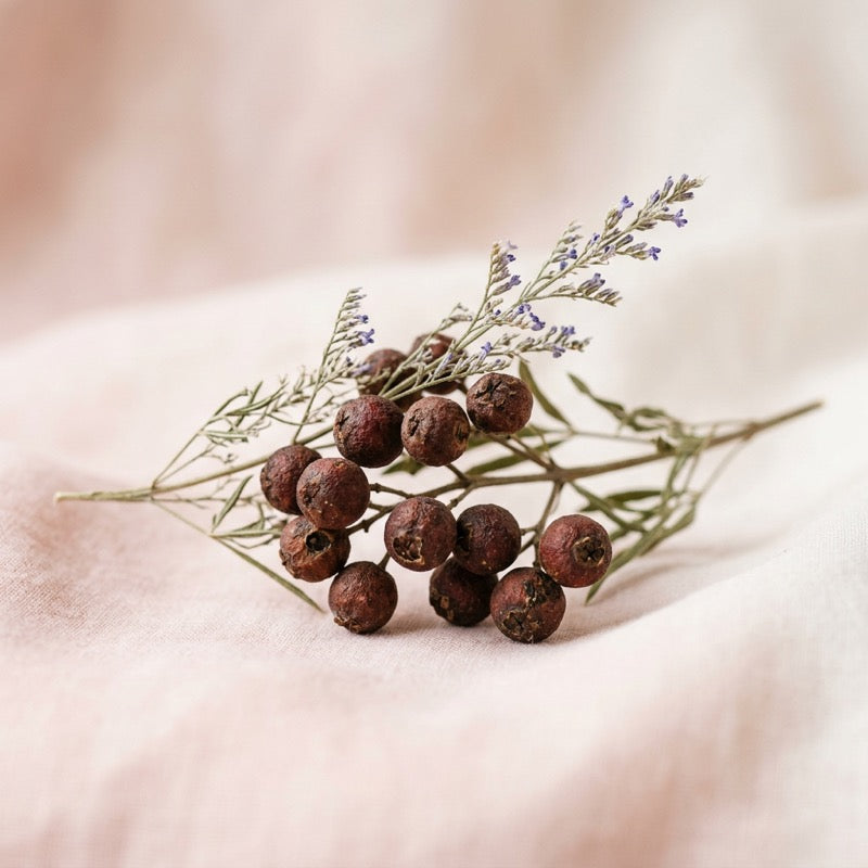 Chaste berries